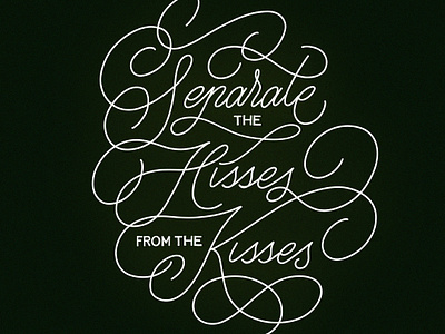 Seperate The Hisses From The Kisses calligraphy cursive handmade lettering lyrics script type typography