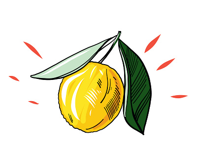 Lemon design icon illustration lemon logo sketch type vector yellow