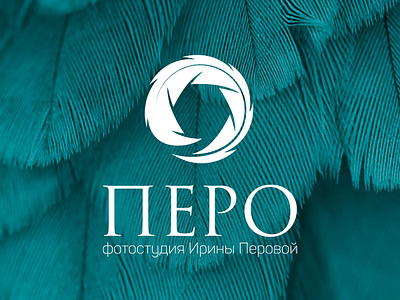 Logo for photo studio "Перо" corporate style design feather illustration lens diaphragm logo logo type minimalism photo photographer photographer logo silhouette