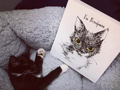 Brandywine the cat cat cute design graphic illustration kitten painting portrait