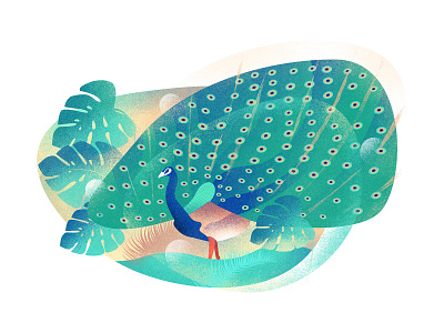Peacock animation art character design download editorial flat graphic icon icons illustration minimal noise simple texture typography ui ux vector web
