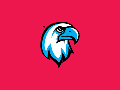 Eagle Mascot bird logo charachter eagle eagle logo eagle mascot eagles falcon falcon heavy falconry falcons mascot mascot character mascot design mascot logo mascot logos rise rise up team logo team logo design team mascot