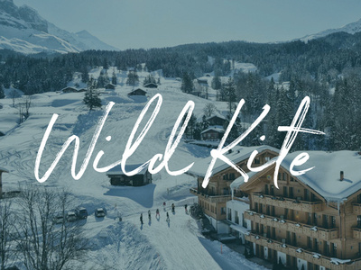 Wild Kite Boutique boutique branding fashion logo typography