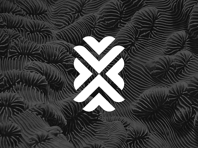 X eploration bold brand brand agency brand and identity branding design logo strong symbol