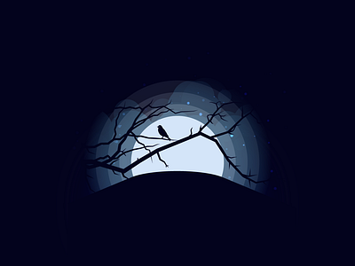 Night adobe ilustrator bird brightness dark graphic design illustration night