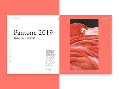 Pantone 2019 branding design typography ui web website