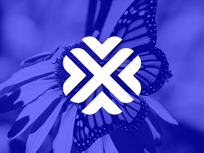 Butterfly Concept animal badge logo brand brand agency brand and identity branding design logo vector