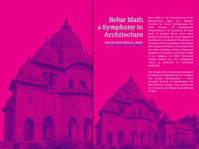 Book Cover Design Concept adobe illustrator adobe photoshop book cover book cover design book cover design concept branding creative design design duotone halftone illustration print design typography vector web