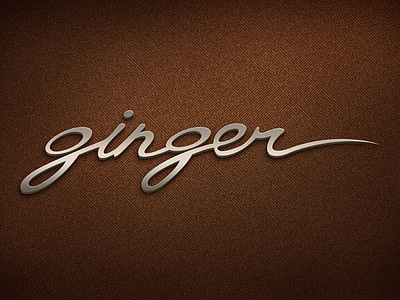 Ginger Logo Option logo