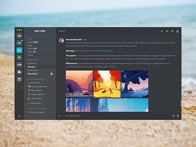 Northern Owl (Application MacOS) app apple application chat mac macos messenger minimalism photo team ui ux working workspace