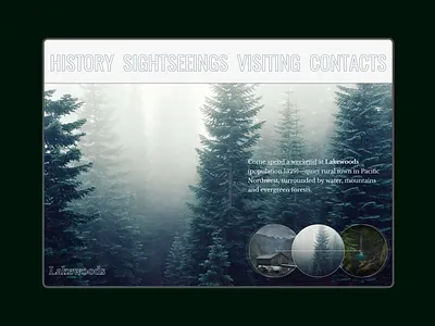 Lakewoods dark design gloomy minimalism minimalist design mystic photo rural spooky twinpeaks web website