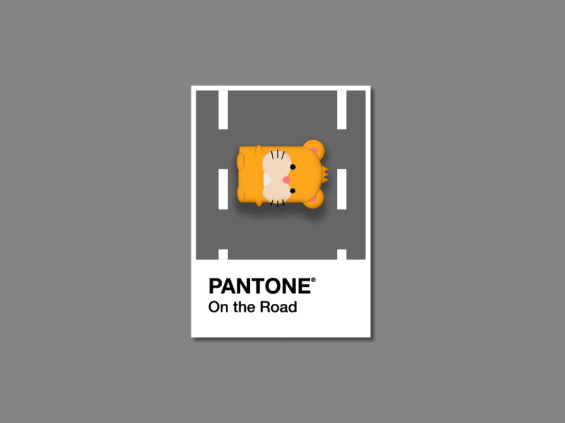 Pantone Color - Road animation colour gif guinea pig hamster loop pantone road