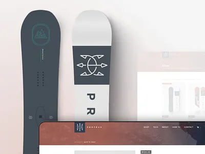 Proteus Snowboards | Branding, Web Design and Development brand messaging branding branding guidelines design graphic design logo photography snowboard snowboarding ui ux design uidesign ux flow videography website design website development
