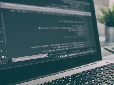 Web Development - The Most important component ui ux design web design web development