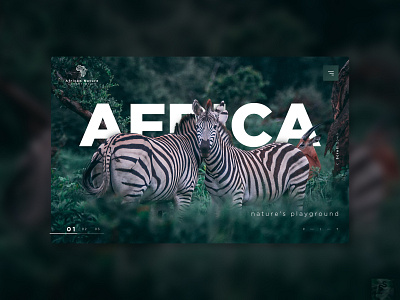 Africa Natures Playground africa clean digital typography ui ux website