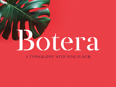 Freebie: Botera Stencil Font display download font free freebie modern pixelbuddha serif stencil typeface typography