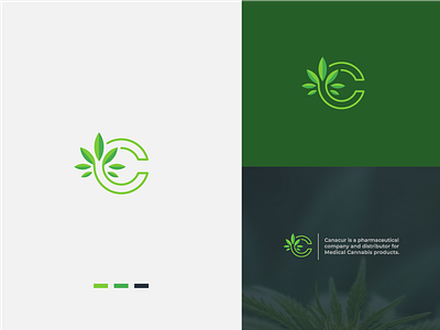 Marijuana Logo brand clean health leaf logo marijuana medical natural pharmacy