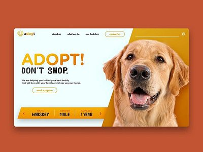 Adogt Website Design dog pet pet adoption ui ui ux design ux web desgin