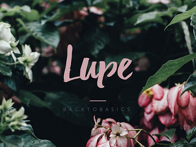 Lupe Store 2d branding design logo typography