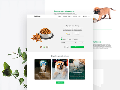 Website for Petshop design ui ux web website