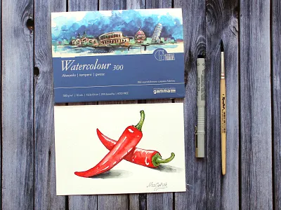 Watercolor Chilli pepper drawing illustration watercolor