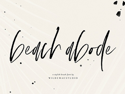 Beach Abode Brush Script Font branding brush brush font brush fonts brush script font brush typeface design elegant feminine font lettering lodo modern script script font script typeface signature typeface typography wedding