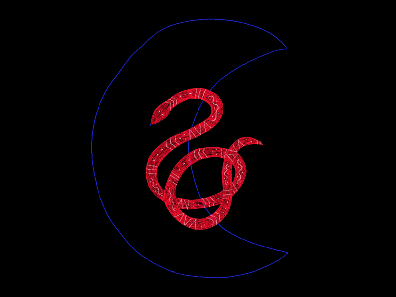 Snake 2danimation framebyframe gif illustration moon snake