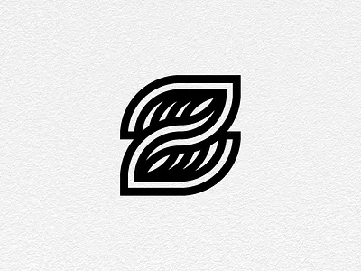 ~Z~ branding design graphic logo mark typography waves z