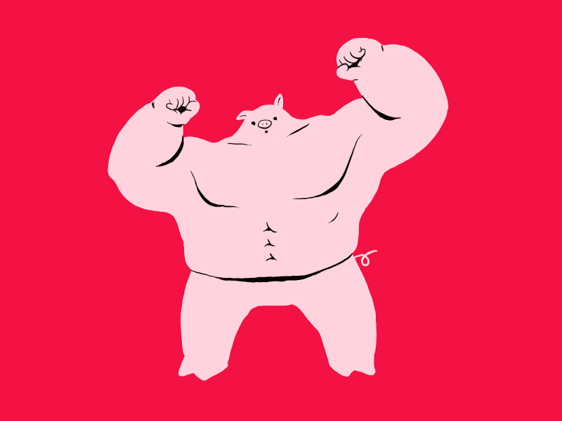 Year of the Pig 2019 2d animation character design chinese new year gif happy chinese new year happy new year new year pig year of the pig