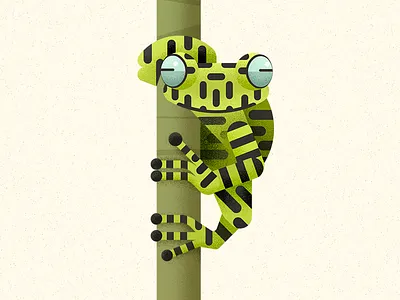 Tiger tree frog amphibian animal biodiversity frog illustration treefrog vector wild animal