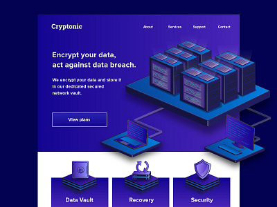 Cryptonic | Data encryption Landing Page design data center data security design encryption illustration illustrator recovery server ui vector website concept website mockup