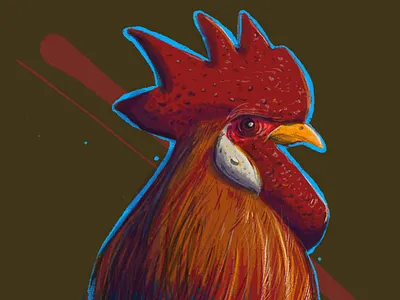 Rooster, study. chicken illustration procreate rooster