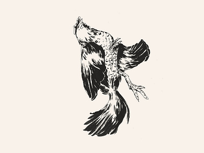 Chicken animal illustration animals illustrated brush pen design drawing endangered endangeredspecies indian ink ink pen inktober inktober2018 pentel pentel brush