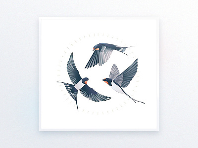 Swallows l Illustration bird decoration delicate design drawing goods illustration illustration art illustrator interior design luxury picture swallows tattoo ui