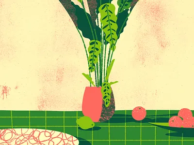 Calathea illustration lime plant tangerine