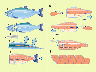 How To Fillet A Salmon anime branding comic design editoral icon illustration japan japanese food logo manga tech company typography ui vector