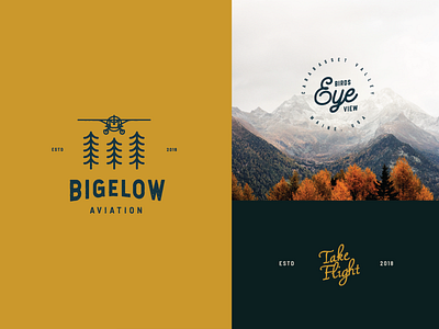 WIP - Bigelow Aviation badge design badge hunting badge logo branding clean design identity illustration lifestyle brand logo minimal nature logo outdoor badge outdoor brand outdoor logo simple design typography wip