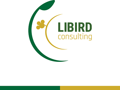 Libird Consulting Logo branding creative agency design growinnova identity logo logo design visual visual identity design