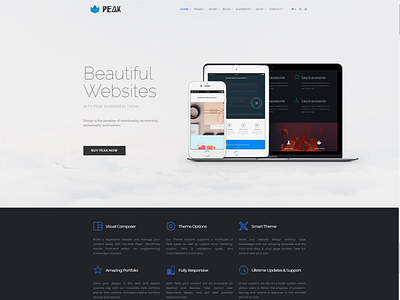 Home Page - Peak WordPress Theme agency blog builder branding design icon landing page logo page builder plugins portfolio responsive site builder slider template theme ui ux web design web development wordpress