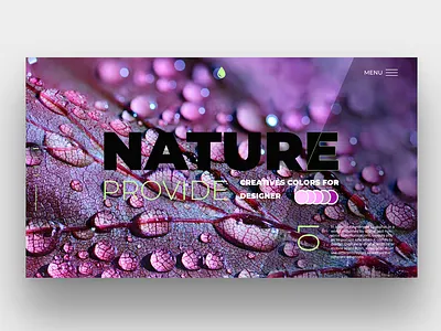 Nature color for designer app design concept design designer landing page nature ui uidesign webdesign website concept