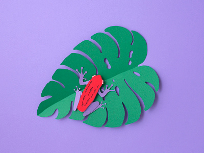 Tropical Frog frog illustration paper art paper craft paper cut rainforest tropical