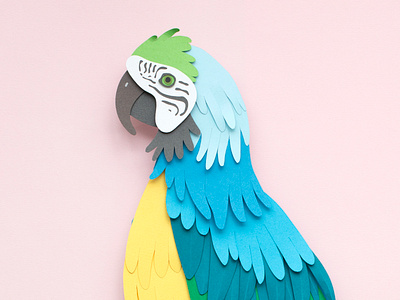 Parrot bird illustration paper art paper craft paper cut parrot rainforest tropical