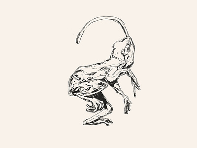 Forest Frog animal illustration animals illustrated brush pen design drawing endangered endangeredspecies indian ink ink pen inktober inktober2018 pentel pentel brush