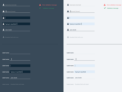 Dark and Light UI input fields dark ui design design system interaction design light ui ui user interface ux visual design