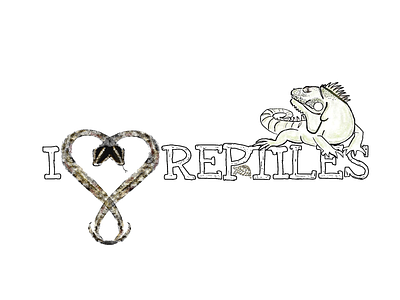 I love reptiles. animal color illustration logo sticker