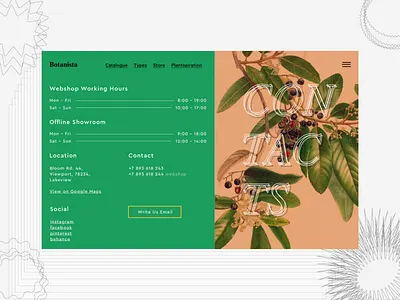 Botanista Contacts Page botanical contact page contacts daily ui daily ui dailyui design greenery ui web webdesign website