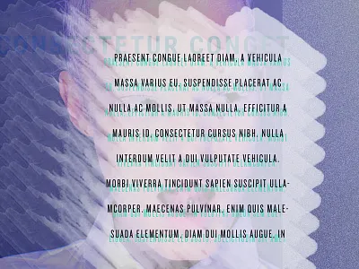 Album Art cd art cd cover cd cover design color texture typography vector