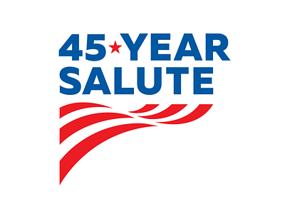 Anniversary Promotion Logo anniversary branding design flag icon illustration logo patriotic promotional star typography usa