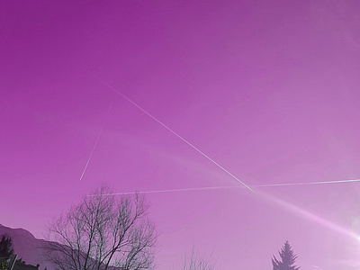 Pink > Blue landscape photo photoshop pink planetrail simple sky skypink tree