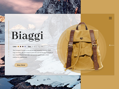 D Backpack (Biaggi)Concept branding clean clean app design e commerce fashion page product shop app store ui ux website